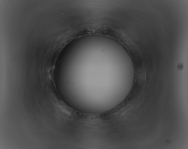 X0000091510770200708311226