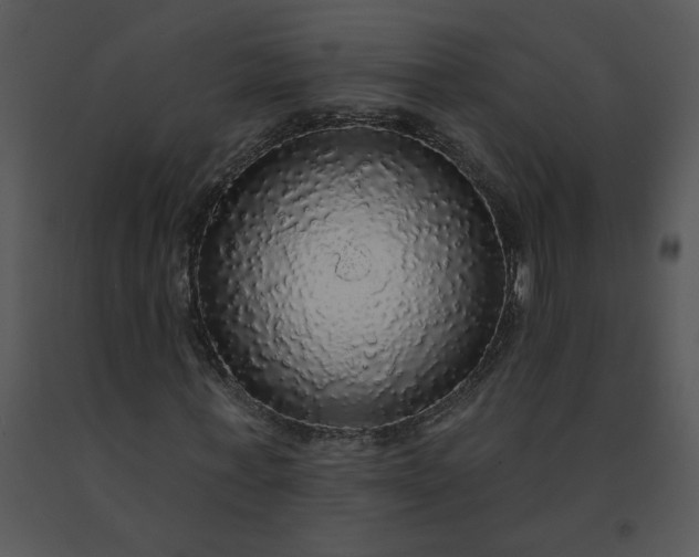 X0000091510771200708311226