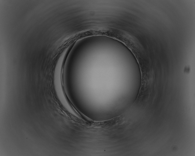 X0000091510773200708311226