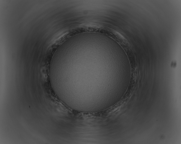 X0000091510774200708311226