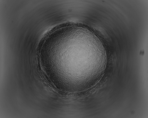 X0000091510776200708311226