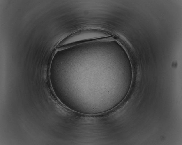 X0000091510777200708311226