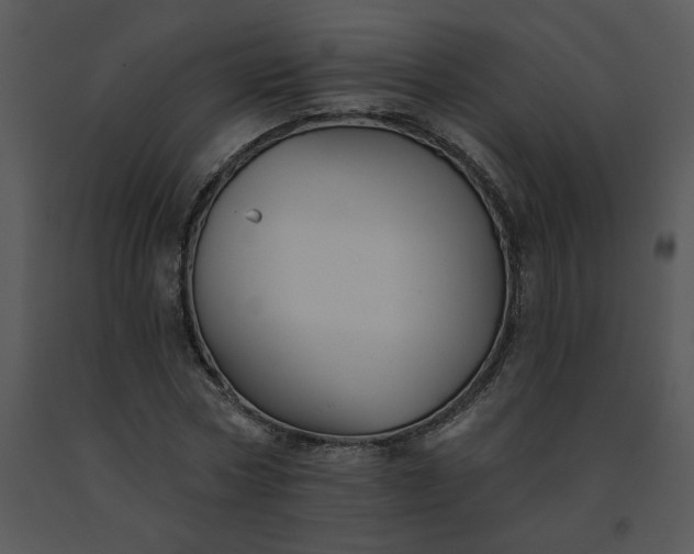 X0000091510778200708311226