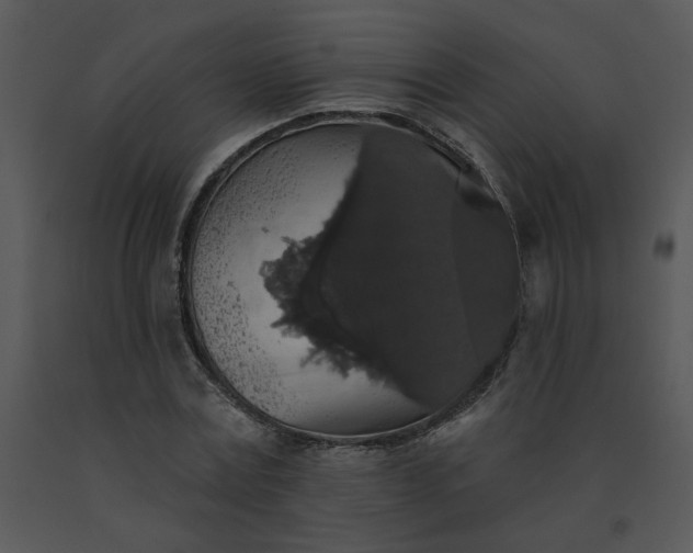 X0000091510779200708311226