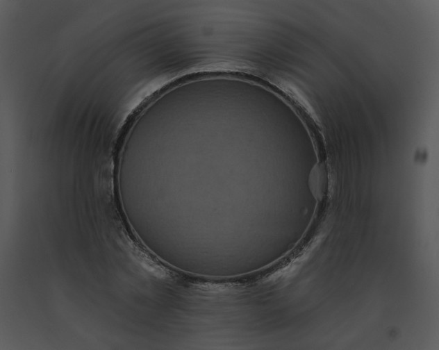 X0000091510781200708311226