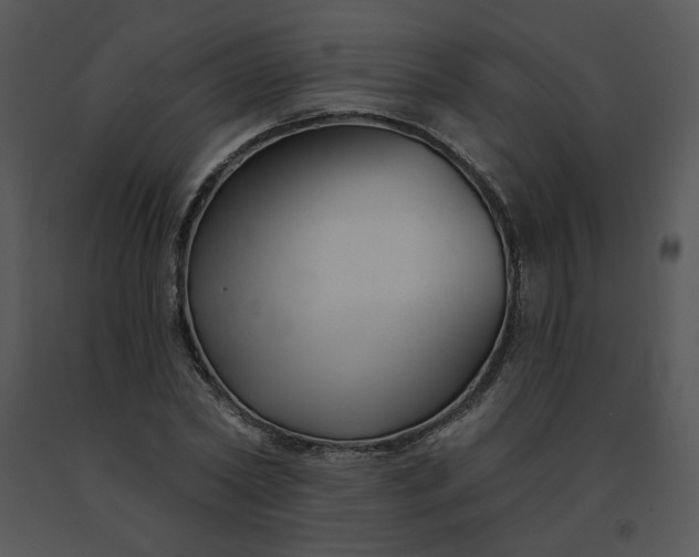 X0000091510782200708311226