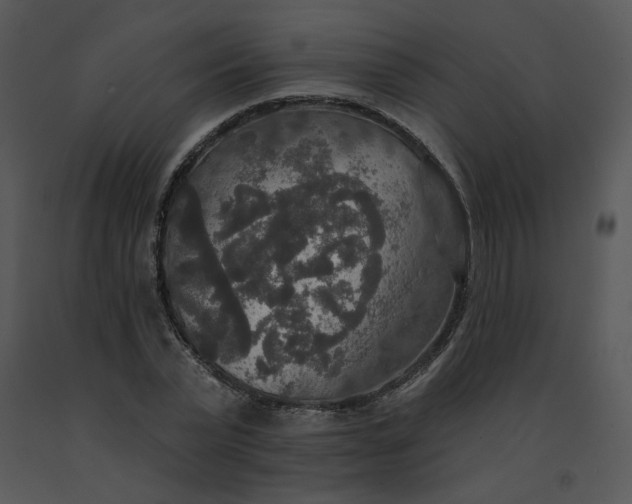 X0000091510783200708311226