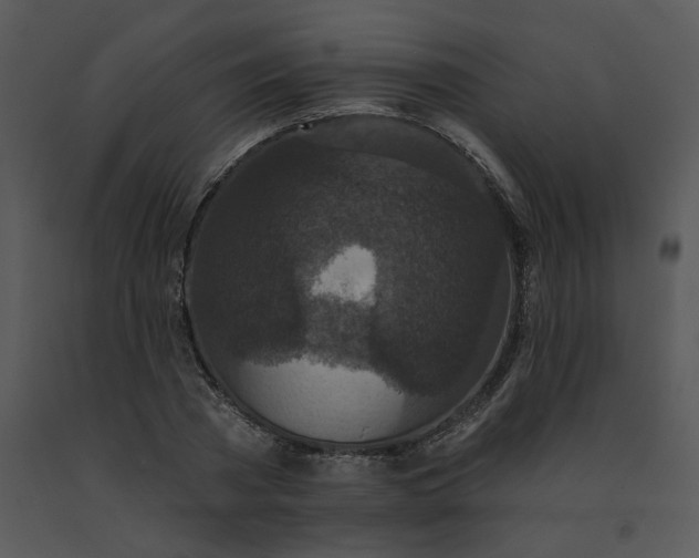 X0000091510785200708311226