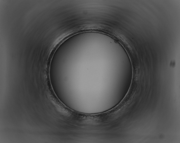 X0000091510786200708311226