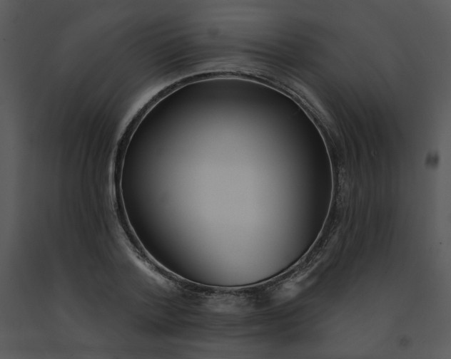 X0000091510788200708311226