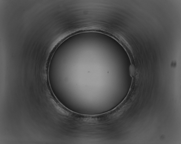 X0000091510789200708311226