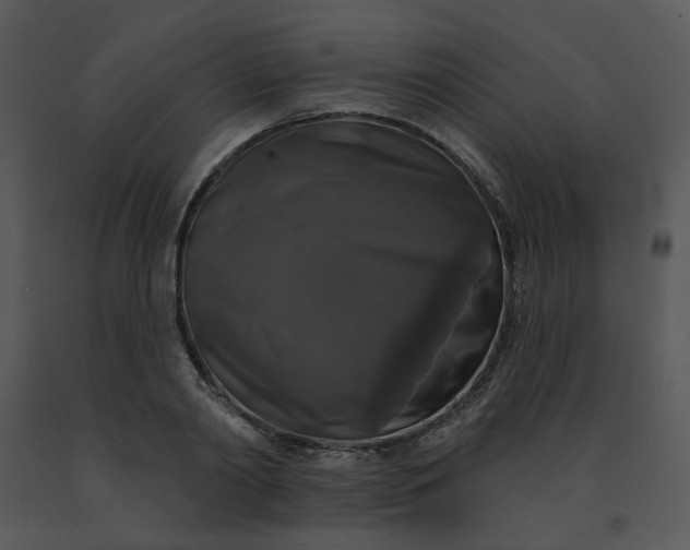 X0000091510790200708311226