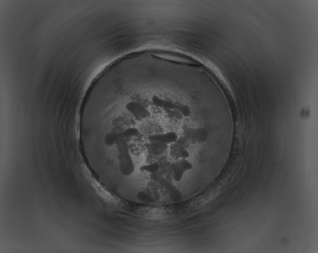 X0000091510791200708311226