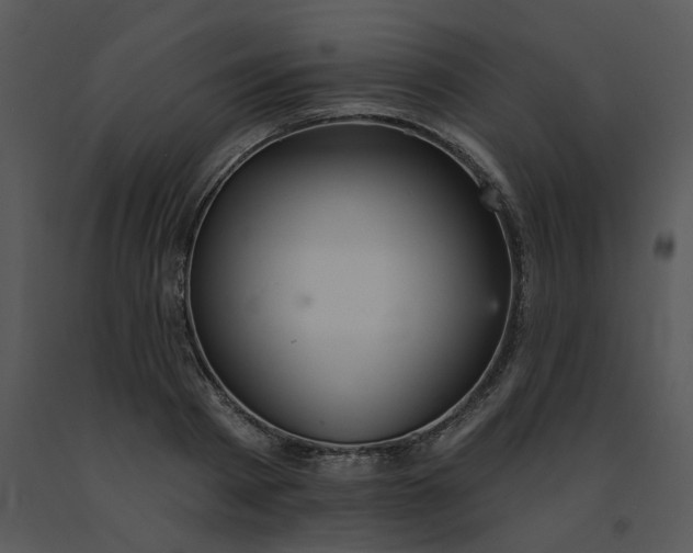 X0000091510793200708311226