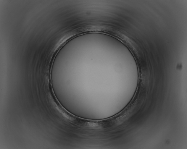 X0000091510794200708311226