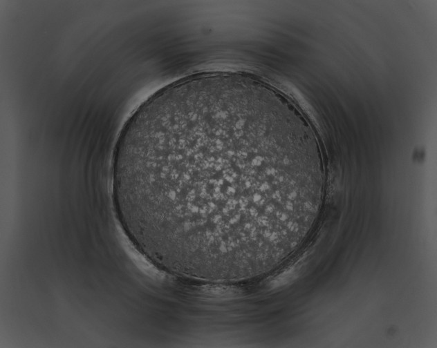 X0000091510795200708311226