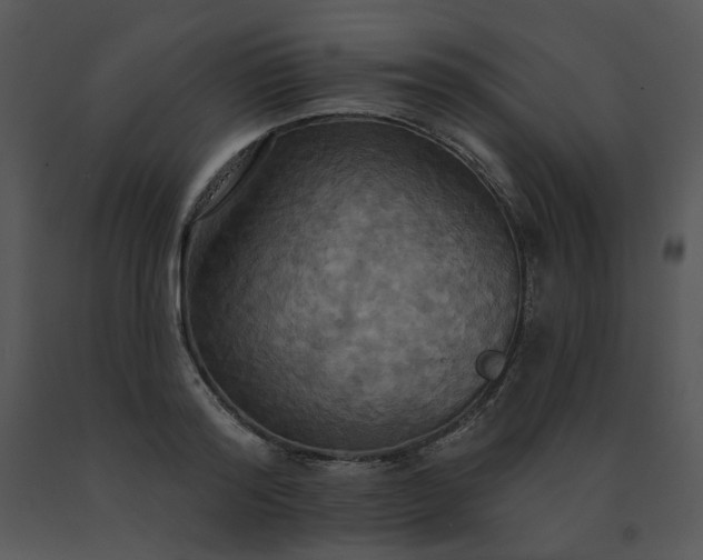 X0000091510796200708311226