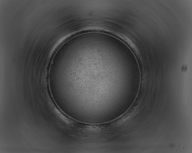 X0000091510799200708311226