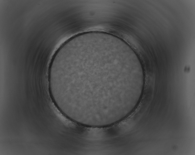 X0000091510800200708311226