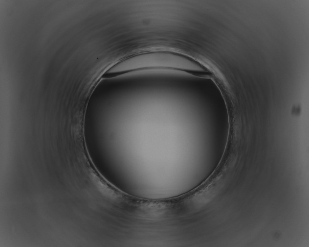 X0000091510801200708311226