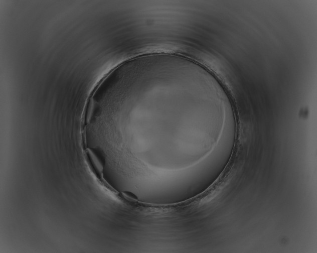 X0000091510802200708311226