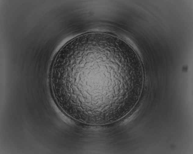 X0000091510803200708311226