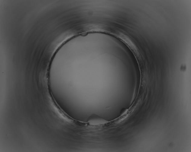 X0000091510806200708311226