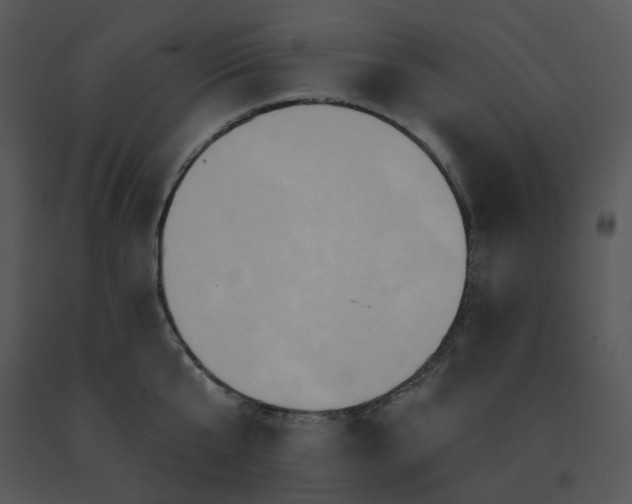 X0000091510807200708311226