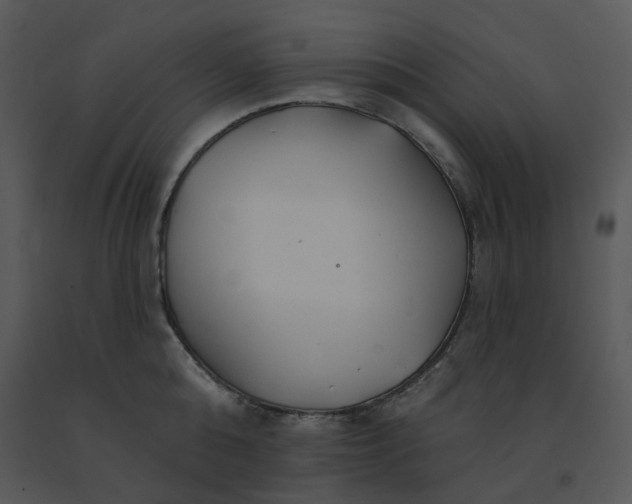 X0000091510808200708311226