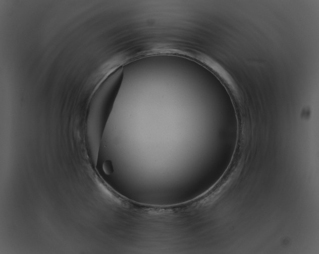 X0000091510809200708311226