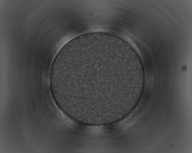 X0000091510810200708311226