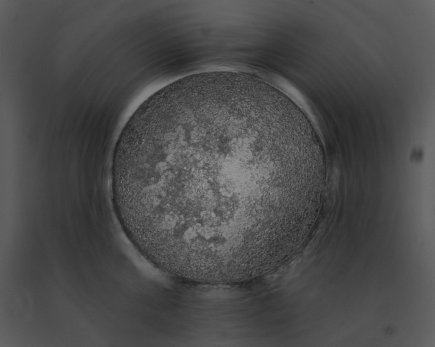 X0000091510811200708311226