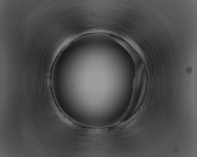 X0000091510813200708311226