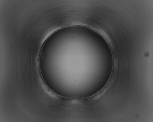 X0000091510814200708311226