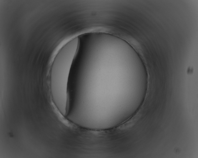 X0000091510816200708311226