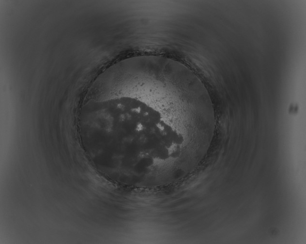 X0000091510817200708311225