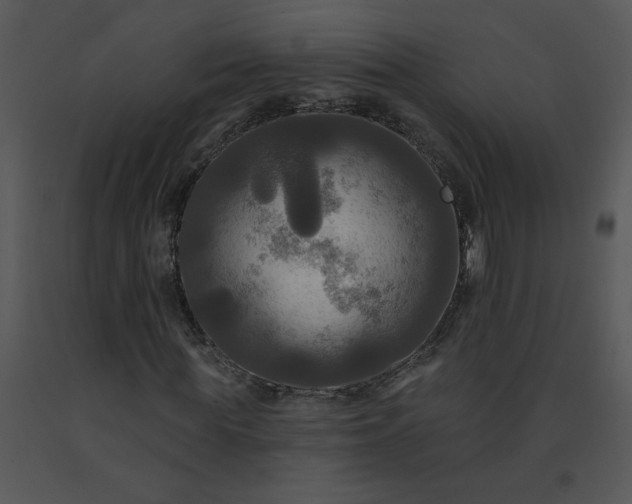 X0000091510819200708311225