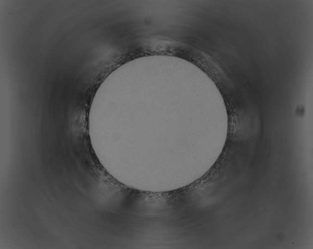 X0000091510820200708311225