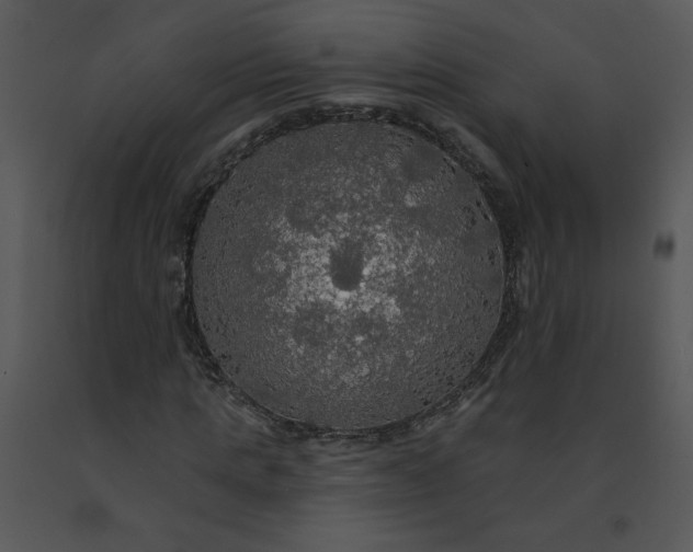 X0000091510821200708311225