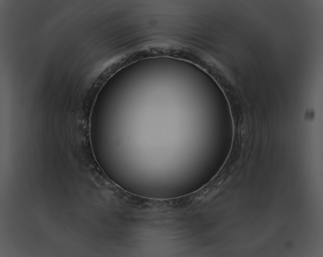 X0000091510822200708311225