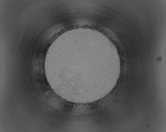 X0000091510824200708311225