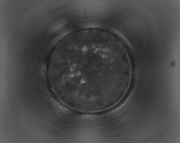 X0000091510825200708311225