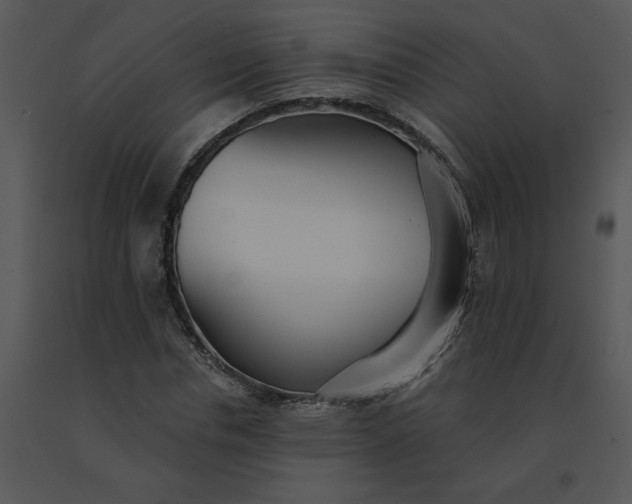 X0000091510826200708311225