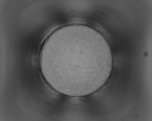 X0000091510828200708311225