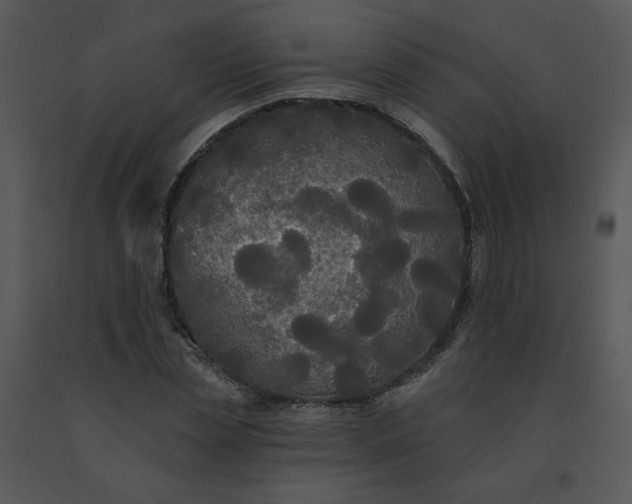 X0000091510829200708311225