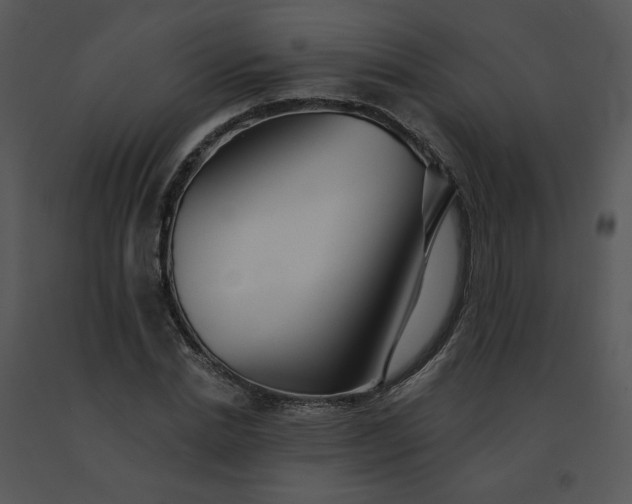 X0000091510830200708311225