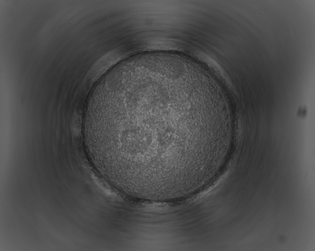 X0000091510833200708311225