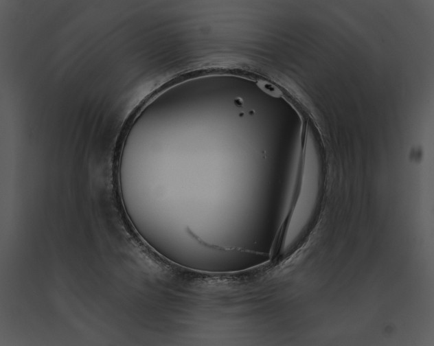 X0000091510834200708311225