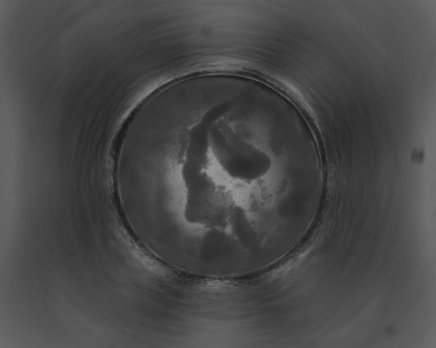 X0000091510835200708311225