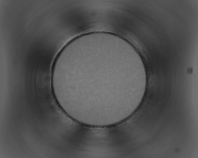 X0000091510836200708311225